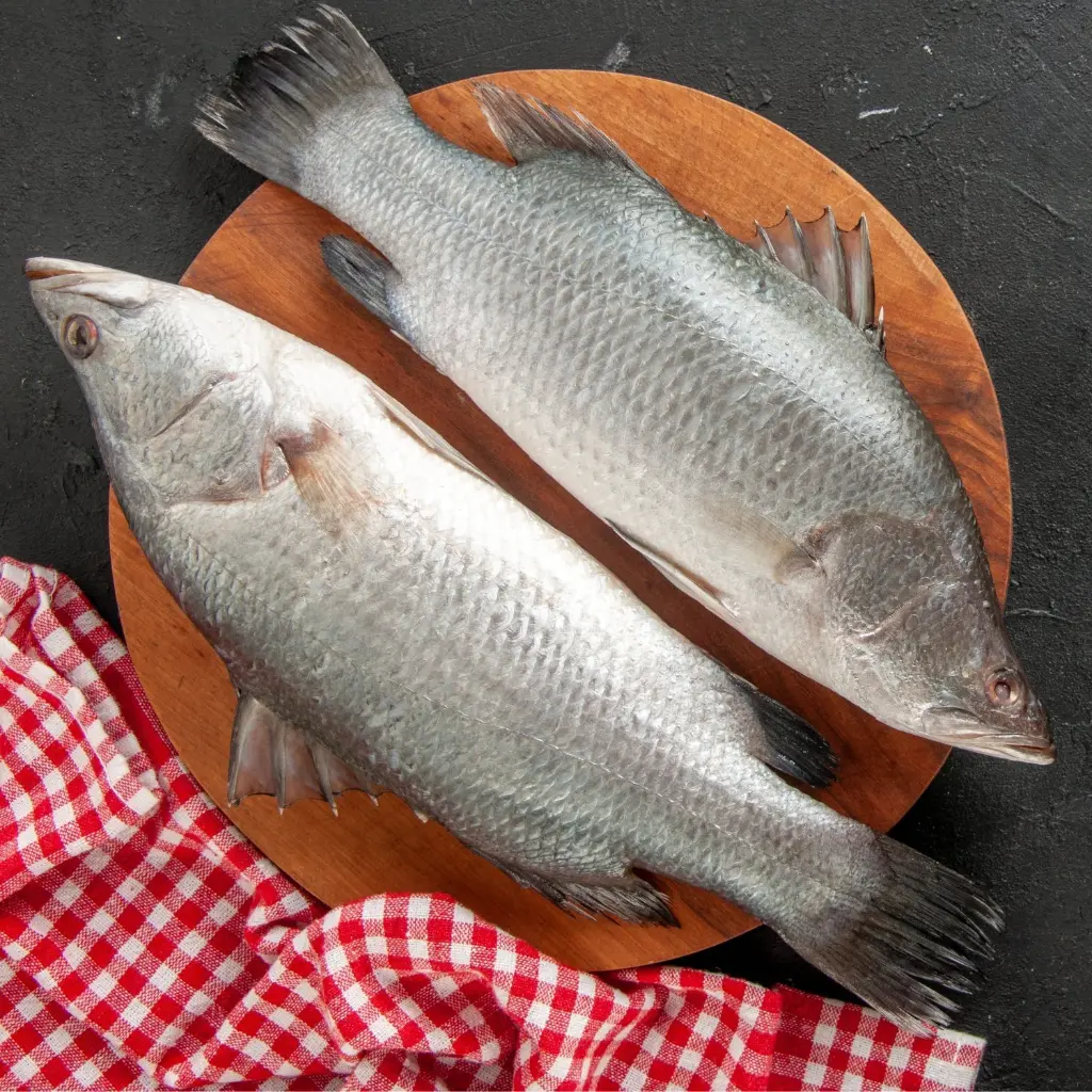 vetki-fish.webp
